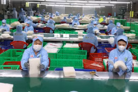 Рабочие сортировали рисовую бумагу на предприятии Tan Nhien Co. Ltd. в провинции Тайнинь. (Фото: ВИA)