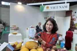 Представление вьетнамской фермерской продукции на 41-й ярмарке «Макфрут» в городе Римини, регион Эмилия-Романья, Италия. (Фото: ВИA)