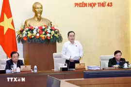 Председатель НС Чан Тхань Ман выступает на 43-й сессии Постоянного комитета Национального собрания. (Фото: ВИA)
