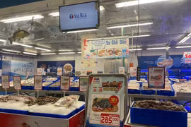 Раздел морепродуктов с широким ассортиментом продукции. (Иллюстративное фото: ВИА) 