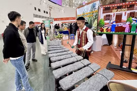 Посетители с интересом знакомятся с каменным музыкальным инструментом на стенде провинции Донгнай. (Фото: ВИА)