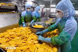Переработка сельскохозяйственной продукции на экспорт (Фото: ВИA)