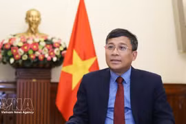 Постоянный заместитель министра иностранных дел Нгуен Минь Ву. (Фото: ВИА) 