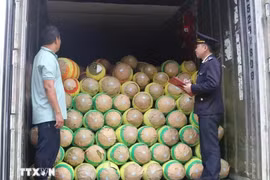 Сотрудники таможни проверяют сельскохозяйственную продукцию перед экспортом на пограничном пункте Хыунги в провинции Лангшон (Фото: ВИA)