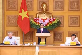Премьер-министр Фам Минь Тьинь выступает на заседании (Фото: ВИA)