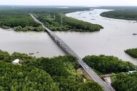 Вид с воздуха на дорогу Рансак, проходящую через мангровые леса Канжо. (Фото: ВИА)