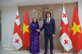 Вице-президент Вьетнама Во Тхи Ань Суан и премьер-министр Грузии Ираклий Кобахидзе на встрече в Тбилиси 12 октября 2026 года. (Фото: ВИА)