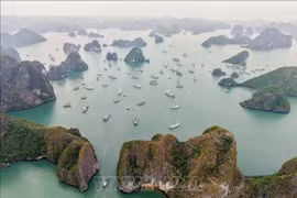  Красота залива Халонг привлекает иностранных туристов (Фото: ВИA) 