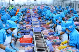 Экспорт рыбной продукции достиг 10 миллиардов долларов США