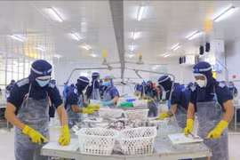 Рабочие на предприятии Cuu Long Fish JSC в провинции Анжанг (Фото: ВИA)