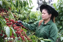 Иллюстративное изображение (Фото: ВИА)