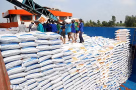 Экспорт риса из Вьетнама в первые 2 месяца 2026 года увеличился на 5% по объему. Фото: ВИА. 