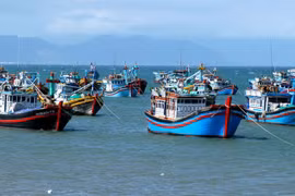 (Иллюстрационное фото: thuysanvietnam.com.vn) 