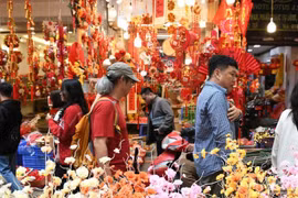 Иллюстративное изображение. Фото: nhandan.vn. 