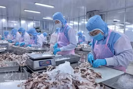 Рабочие занимаются переработкой морепродуктов на экспорт. (Фото: ВИA) 