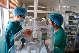  Забота о здоровье новорождённых. (Фото: Vietnam+) 