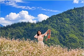 Турист фотографируется на фоне цветущей гречихи. (Фото: ВИА)