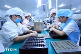 Рабочие на линии сборки электронных компонентов на заводе компании Bao Sen Co. Ltd. в провинции Бакнинь. Фото: ВИА. 