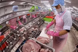 По мере укрепления экспортного спроса нехватка рабочей силы становится все более серьезным сдерживающим фактором для производителей. (Фото: ВИA)