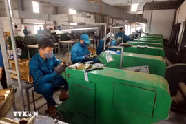 Производственная линия на предприятии TDV Vietnam Manufacturing and Trading Group Co., Ltd, расположенном в промышленном парке VSIP Nghe An. (Фото: ВИA)