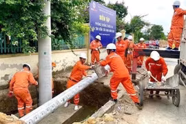 EVNHANOI проводит учения по обеспечению безопасности электросетей в условиях сложных погодных условий, таких как штормы и наводнения. (Фото: ВИA)