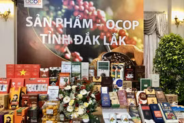 Разнообразные кофейные продукты OCOP из провинции Даклак на выставке. (Фото: ВИA)