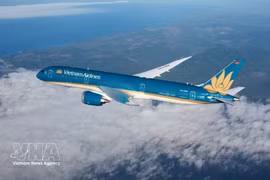 Самолет авиакомпании Vietnam Airlines. Фото: ВИА. 