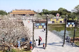 Туристы посещают императорскую цитадель Хюэ. (Фото: baotintuc.vn)