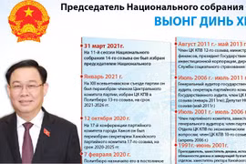 Председатель Национального собрания СРВ Выонг Динь Хюэ