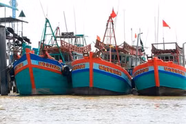 Бенче стремится развивать морскую экономику (Фото: baotainguyenmoitruong.vn) 