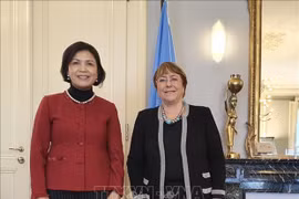Посол Ле Тхи Туйет Май (слева), недавно аккредитованный Постоянный представитель Вьетнама при ООН, Всемирной торговой организации (ВТО) и других международных организациях в Женеве, и Верховный комиссар Организации Объединенных Наций по правам человека Ми