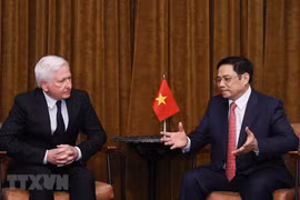 Премьер-министр Фам Минь Тьинь устроил прием для президента Pacific Land Group Патрика МакКиллена. (Фото: Зыонг Жанг / ВИА)