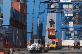 За первые 11 месяцев этого года в морских портах Вьетнама было обработано более 647 млн. тонн товаров. (Фото: ВИА) 