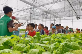 Дети посещают ферму Хайданг в уезде Тханьчи (Фото: Kinhtedothi.vn)