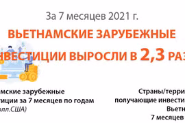 За 7 месяцев вьетнамские зарубежные инвестиции выросли в 2,3 раза