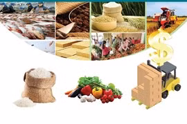 Экспорт сельскохозяйственной, лесной и рыбной продукции в 2023 году достиг более 53 млрд. долл. США