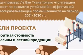 Стремление к тому, чтобы к 2025 году экспортный доход от древесины и лесной продукции достиг 20 млрд. долл. США