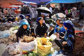  (Фото: Vietnam+)