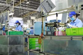Завод компании Ohashi Tekko Vietnam в индустриальном парке Биньсуйен провинции Виньфук (Фото: ВИА)