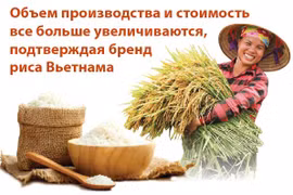  Более 30 лет экспорта риса (1989-2921 гг.)