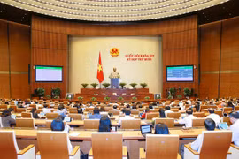 Пленум продолжающейся 10-й сессии НС 12 ноября (Фото: ВИА)