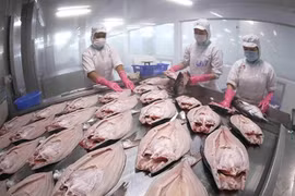 Завод по переработке морепродуктов Sao Mai Group в провинции Анжанг (Фото: ВИА)