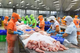 Экспорт морепродуктов достиг рекордных 11 млрд. долл. США в 2022 году, что на 24% больше по сравнению с прошлым годом и на 22% выше годовой цели в 9 млрд. долл. США. (Источник: ВИА)