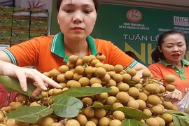 Иллюстративное изображение (Фото: http://thoibaotaichinhvietnam.vn/)