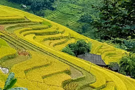 (Фото: Vietnam +)