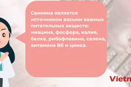 Вьетнам занимает 6 место в мире по производству свинины