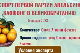 Экспорт первой партии апельсинов Каофонг в Великобританию