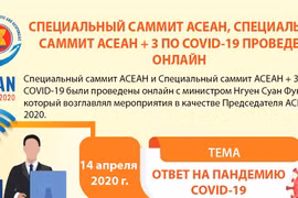 Специальный саммит АСЕАН, специальный саммит АСЕАН+3 по COVID-19