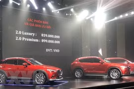 Импорт полностью собранных автомобилей (CBU) Вьетнамом за первые семь месяцев 2021 года вырос по сравнению с аналогичным периодом прошлого года на 111,2% в натуральном выражении (иллюстративное фото: ВИА).