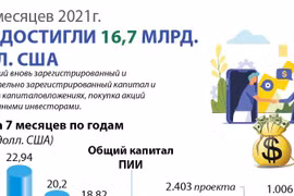 ПИИ достигли почти 16,7 млрд. долл. США за 7 месяцев 2021г.